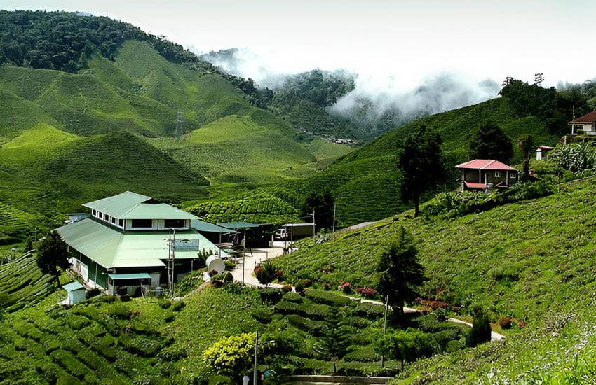 Cameron Highlands