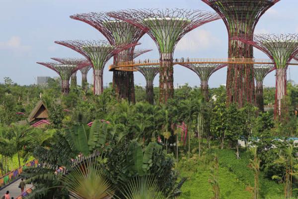 Gardens by the Bay