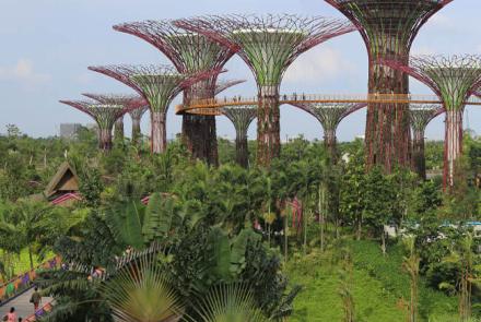 Gardens by the Bay