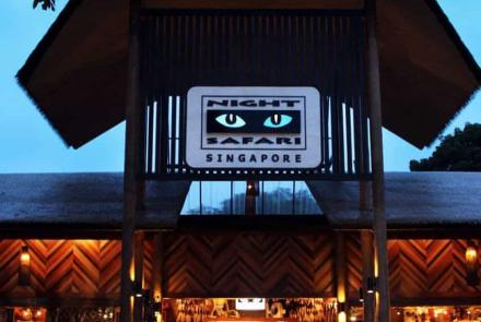 Night Safari
